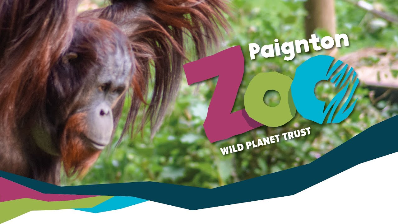 Image of Paignton Zoo