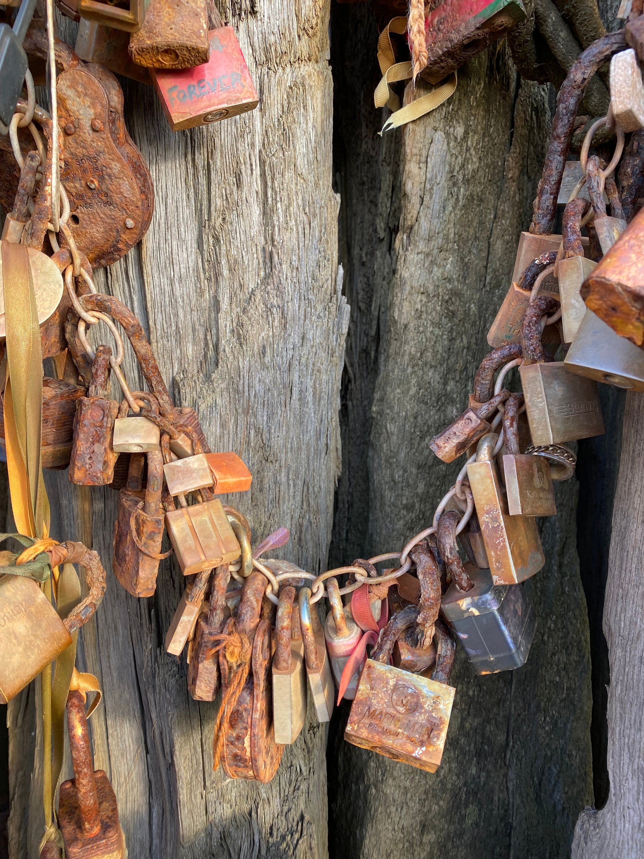 shutterstock_2132092715