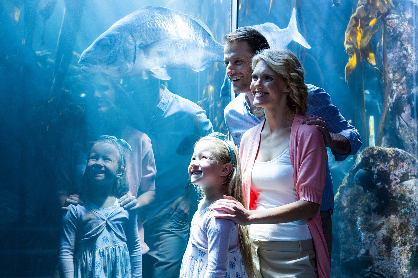 Image of family looking at fish at an aquarium