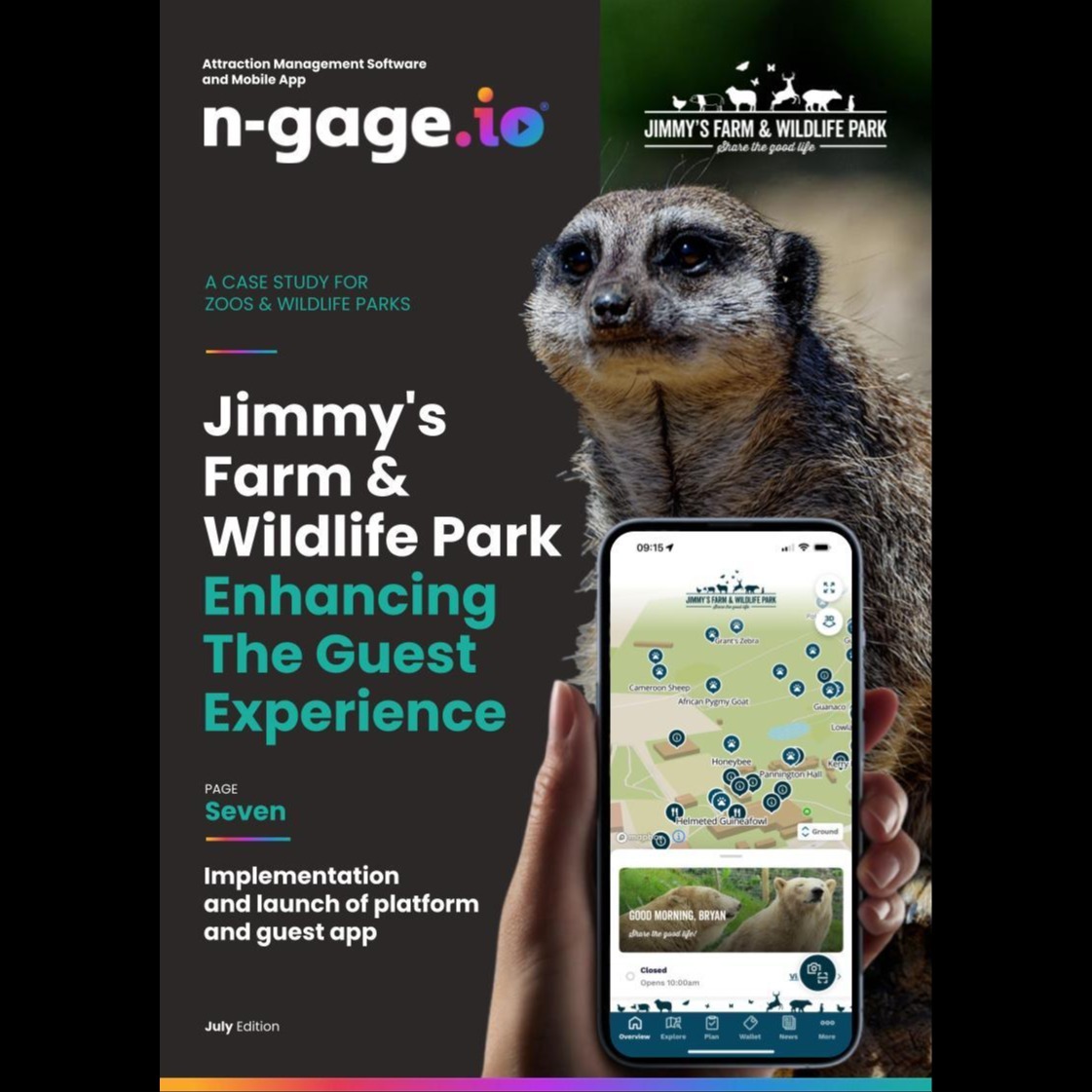 Digital: Client Case Studies