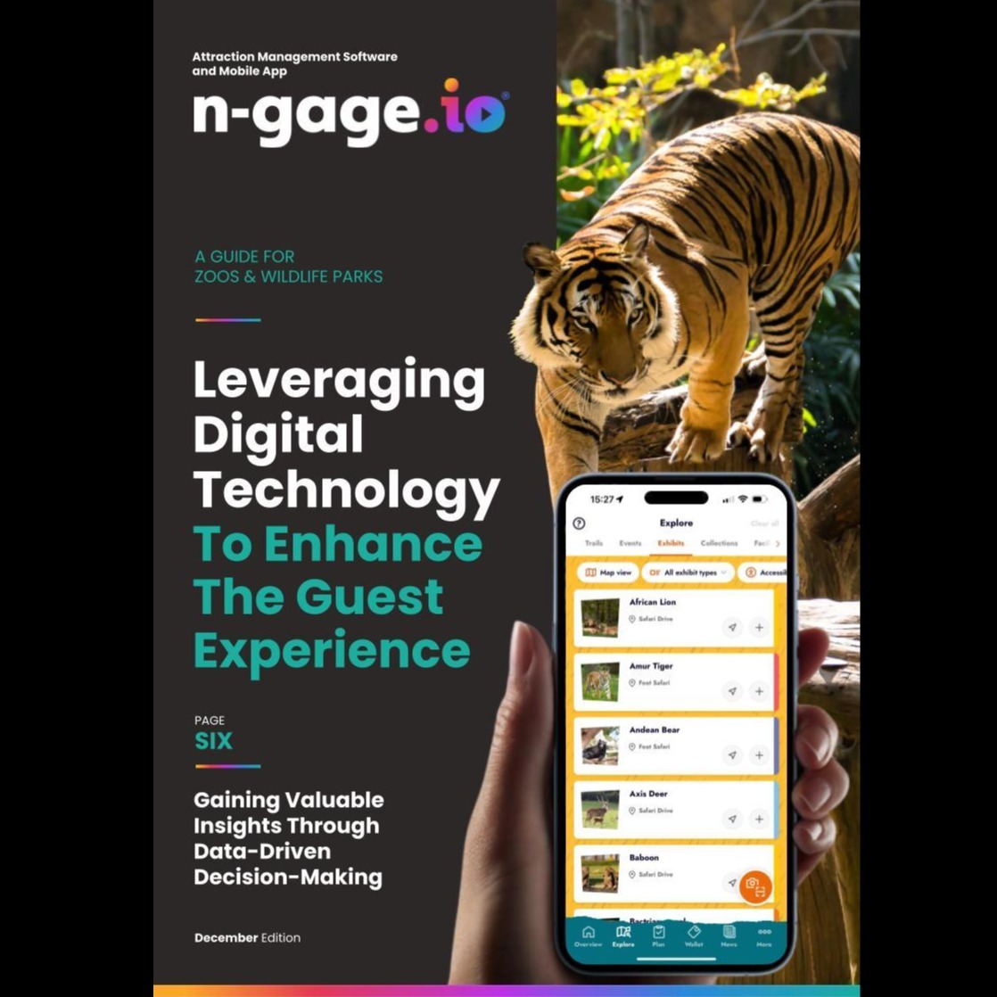 Digital: Deep Dive Guides